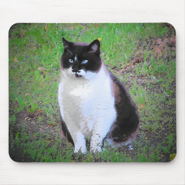 ALFOMBRILLA DE RATÓN MUSTACHE CAT ESTÁ VIENDO (Frente)