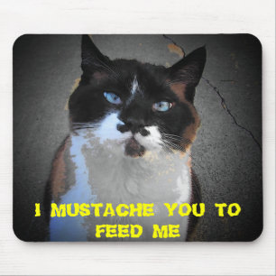 ALFOMBRILLA DE RATÓN MUSTACHE YOU CAT ES HAMGRY