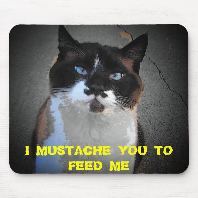 ALFOMBRILLA DE RATÓN MUSTACHE YOU CAT ES HAMGRY (Frente)