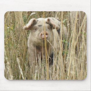 Alfombrilla De Ratón Mustad de cerdo esporádico