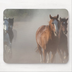 Alfombrilla De Ratón Mustangs de 0800 salvajes en ejecución