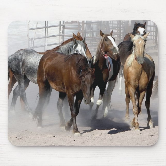 Alfombrilla De Ratón Mustanos silvestres de la almohadilla del ratón de (Frente)
