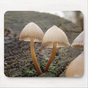 Alfombrilla De Ratón Mycena inclinata Mushroom Mouse Mat