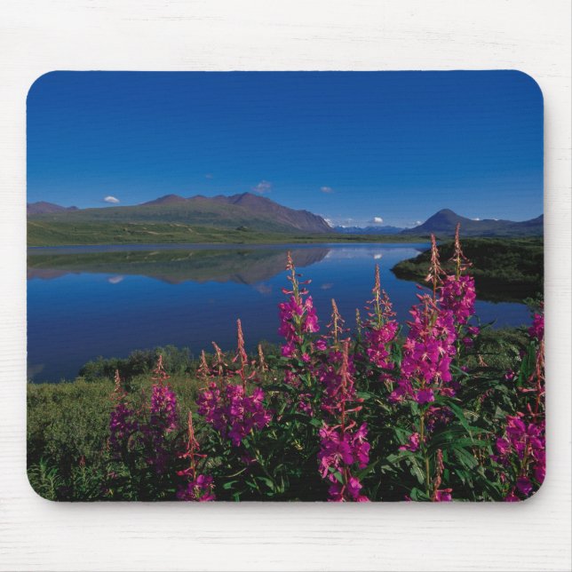 Alfombrilla De Ratón N.A., EE.UU., Alaska, Alaska Range Common (Frente)