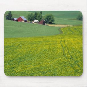 Alfombrilla De Ratón N.A., EE.UU., Idaho, Condado de Latah, cerca de Ge