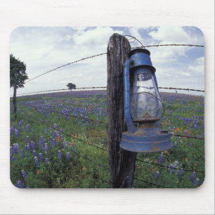 Alfombrilla De Ratón N.A., EE. UU., Texas, Llano, Farol azul, Roble