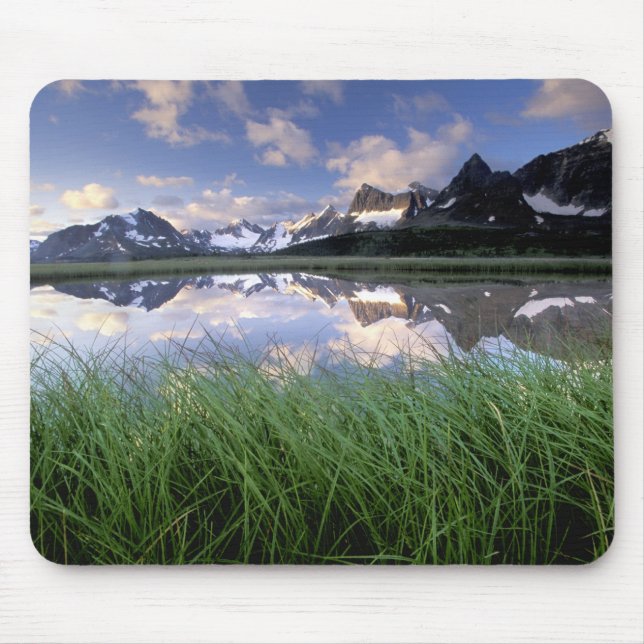 Alfombrilla De Ratón NA, Canadá, Alberta, Tonquin Valley. Jasper (Frente)