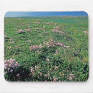 Alfombrilla De Ratón NA, EE. UU., Alaska, Isla Aleutiana, Escénico con