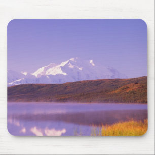 Alfombrilla De Ratón NA, EE. UU., Alaska, Parque Nacional Denali, Wonde