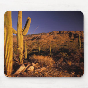 Alfombrilla De Ratón NA, EE.UU., Arizona, Monumento Nacional Saguaro,