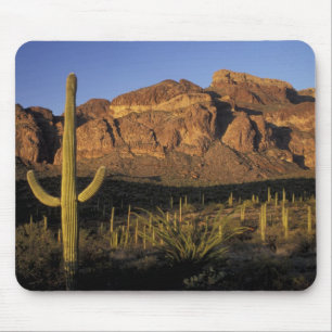 Alfombrilla De Ratón NA, EE. UU., Arizona. Organ Pipe Cactus National 2