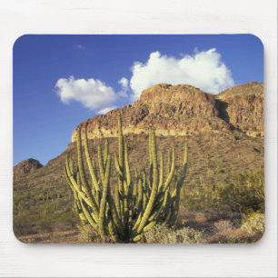 Alfombrilla De Ratón NA, EE. UU., Arizona. Organ Pipe Cactus National 3