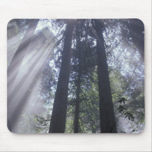 Alfombrilla De Ratón NA, EE.UU., California. Estado de la Costa del Nor