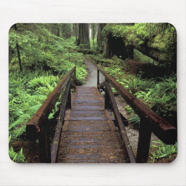 Alfombrilla De Ratón NA, EE.UU., California, Jedidiah Smith Redwood (Frente)
