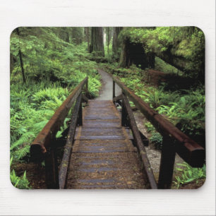 Alfombrilla De Ratón NA, EE. UU., California, Jedidiah Smith Redwoods