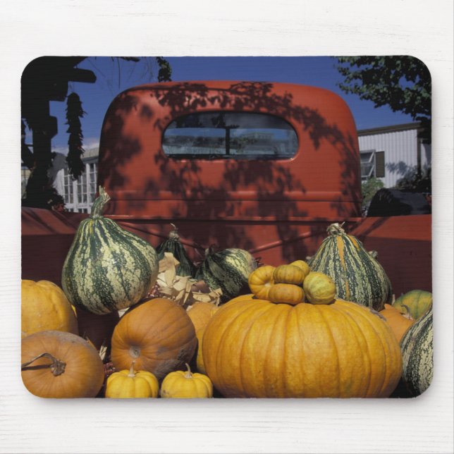 Alfombrilla De Ratón NA, EE.UU., Nuevo México, Taos. En pie Chile. (Frente)