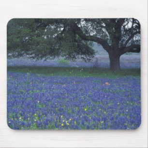 Alfombrilla De Ratón NA, Texas, Devine, Roble y bonetes azules