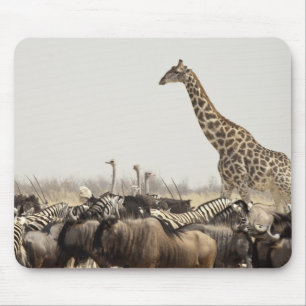 Alfombrilla De Ratón Namibia, Parque Nacional Etosha. Una jirafa solita