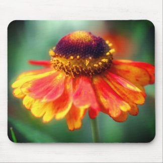 Alfombrilla De Ratón Naranja Amarillo Zinnia Daisy Flower