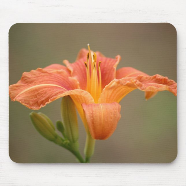 Alfombrilla De Ratón Naranja asiatische Lilie (Frente)