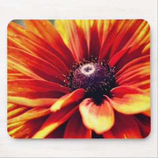 Alfombrilla De Ratón Naranja Black Eyed Susan Daisy Flower