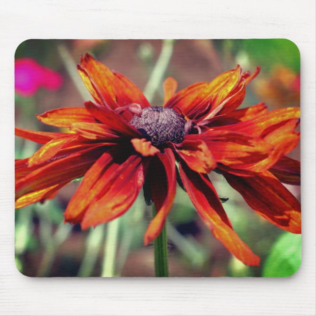 Alfombrilla De Ratón Naranja Black Eyed Susan Flower (Frente)