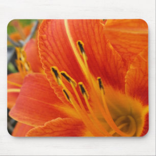 Alfombrilla De Ratón naranja brillante