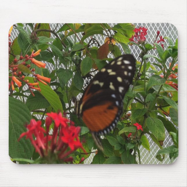 ALFOMBRILLA DE RATÓN NARANJA BUTTERFLY (Frente)