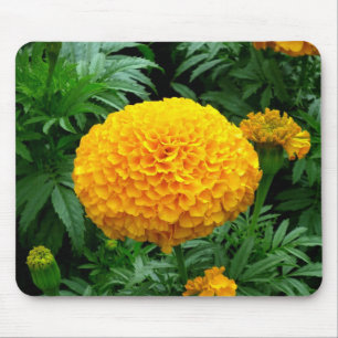 Alfombrilla De Ratón Naranja Chrysanthemum