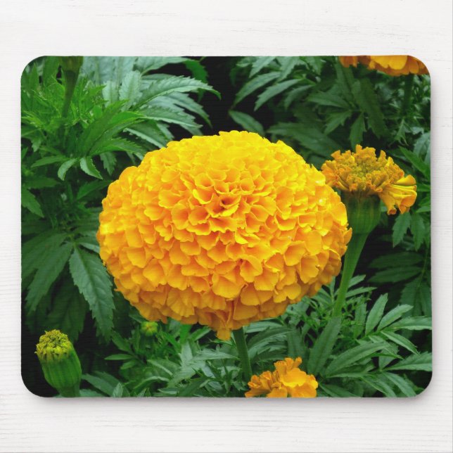 Alfombrilla De Ratón Naranja Chrysanthemum (Frente)