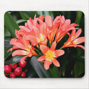 Alfombrilla De Ratón Naranja Clivia florece