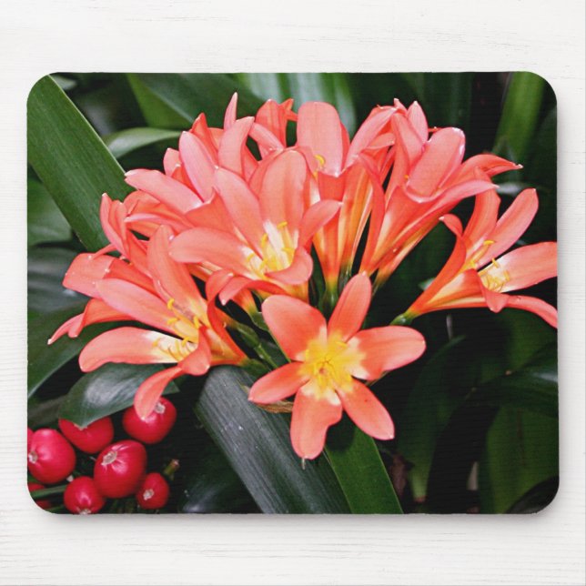 Alfombrilla De Ratón Naranja Clivia florece (Frente)