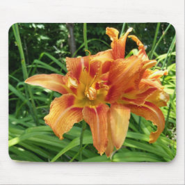 Alfombrilla De Ratón Naranja Daylily Flores horizontales