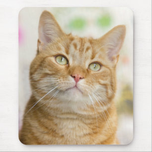 Alfombrilla De Ratón Naranja dulce Tabby Cat