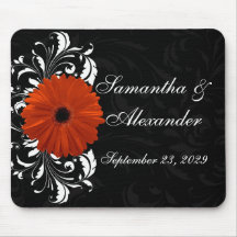 Naranja Gerbera Daisy con pergamino blanco y negro