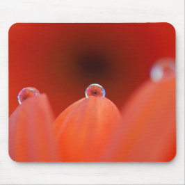 Alfombrilla De Ratón Naranja Gerbera Refraction Mousepad