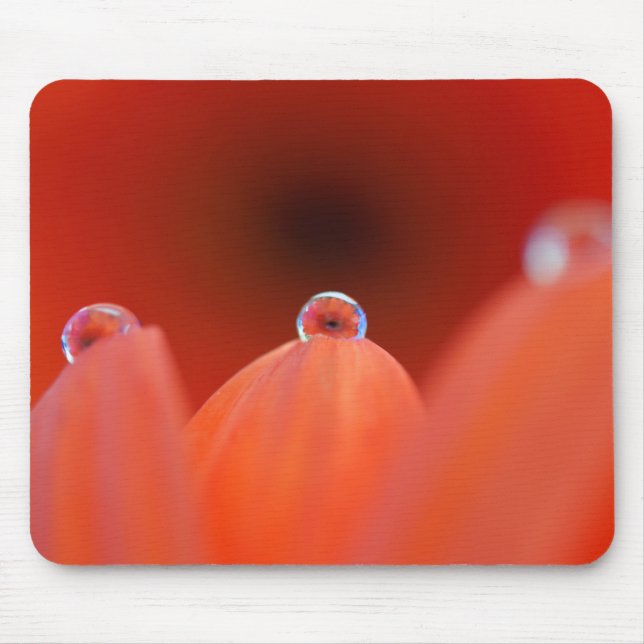Alfombrilla De Ratón Naranja Gerbera Refraction Mousepad (Frente)