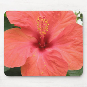 Alfombrilla De Ratón Naranja Hibiscus Flower Macro Mousepad
