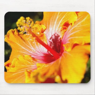 Alfombrilla De Ratón Naranja Hibiscus Flower Side View