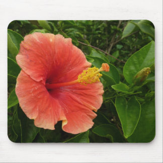 Alfombrilla De Ratón Naranja Hibiscus Flower Tropical Floral