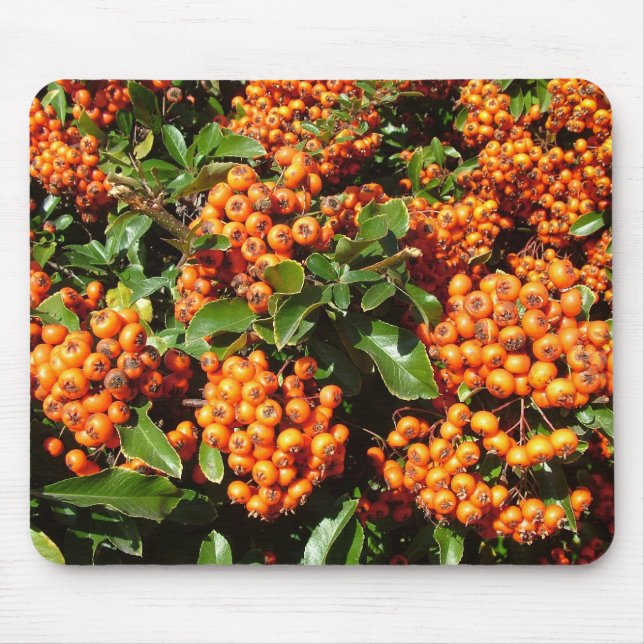 Alfombrilla De Ratón Naranja Holly Berries (Frente)
