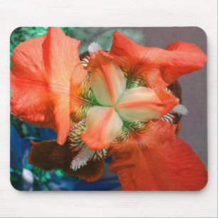 Alfombrilla De Ratón Naranja Iris Mousepad