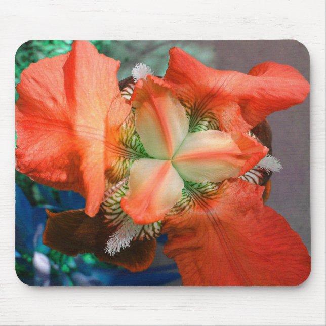 Alfombrilla De Ratón Naranja Iris Mousepad (Frente)