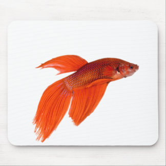Alfombrilla De Ratón Naranja japonés lucha contra el pescado Betta siam