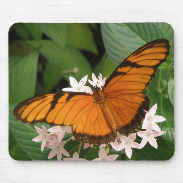 Alfombrilla De Ratón Naranja Julia Butterfly Mousepad (Frente)