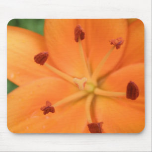 Alfombrilla De Ratón Naranja Lily Floral Mousepad