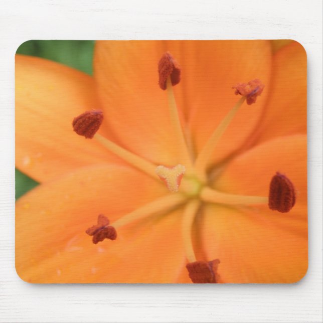 Alfombrilla De Ratón Naranja Lily Floral Mousepad (Frente)