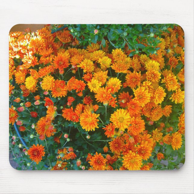 Alfombrilla De Ratón Naranja Margarita Daisy Mousepad (Frente)