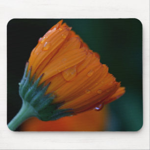 Alfombrilla De Ratón Naranja marigold