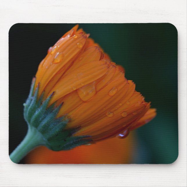 Alfombrilla De Ratón Naranja marigold (Frente)